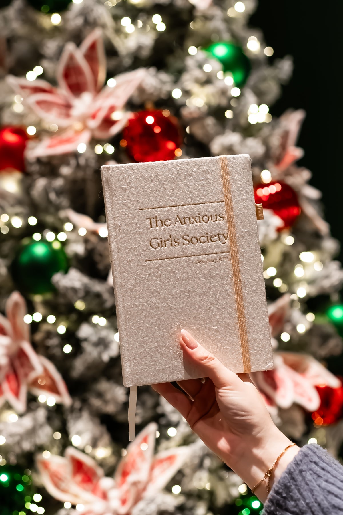 The wellness journal (beige)